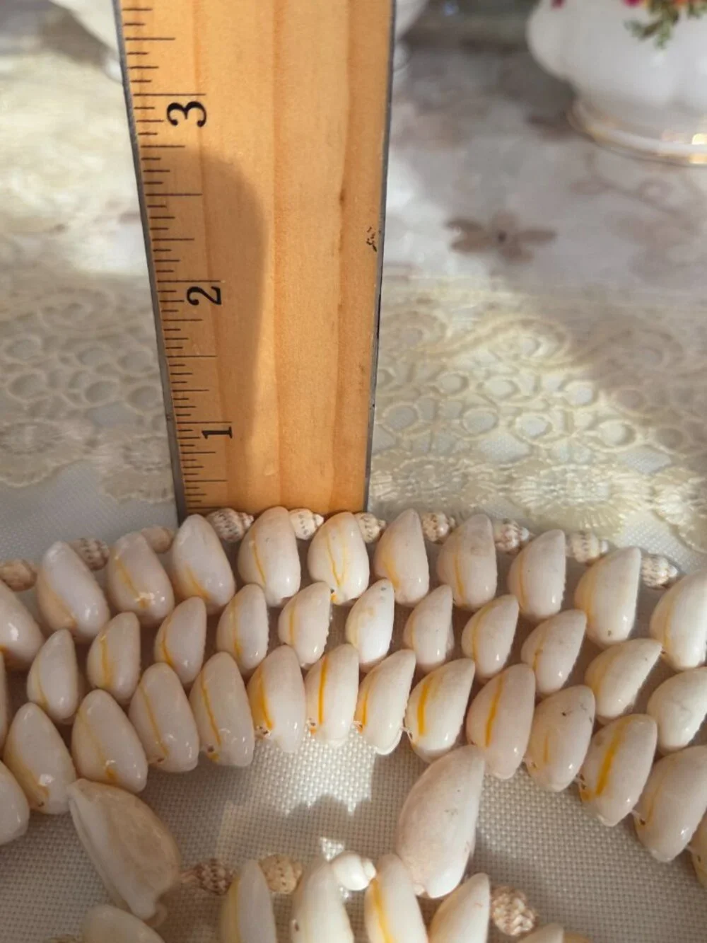 Vintage Cowrie Seashell Trivet